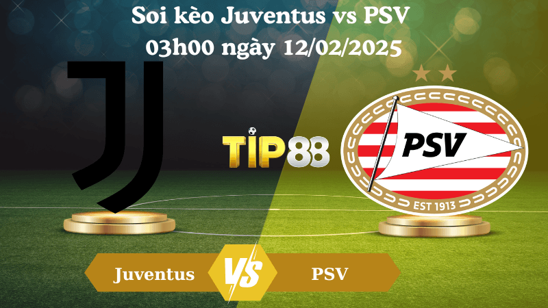 TIP88 Nhận định soi kèo Juventus vs PSV 03h00 ngày 12/02/2025 - Champions League