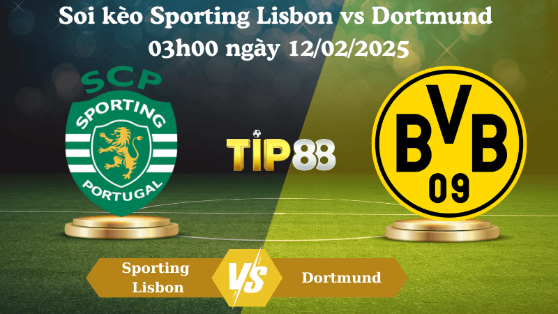 TIP88 Nhận định soi kèo Sporting Lisbon vs Dortmund 03h00 ngày 12/02/2025 - Champions League