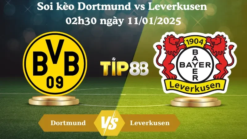 TIP88 Nhận định soi kèo Dortmund vs Leverkusen 02h30 ngày 11/01/2025 - Bundesliga