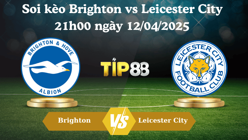 TIP88 Nhận định soi kèo Brighton vs Leicester City 21h00 ngày 12/04/2025 - Ngoại hạng Anh