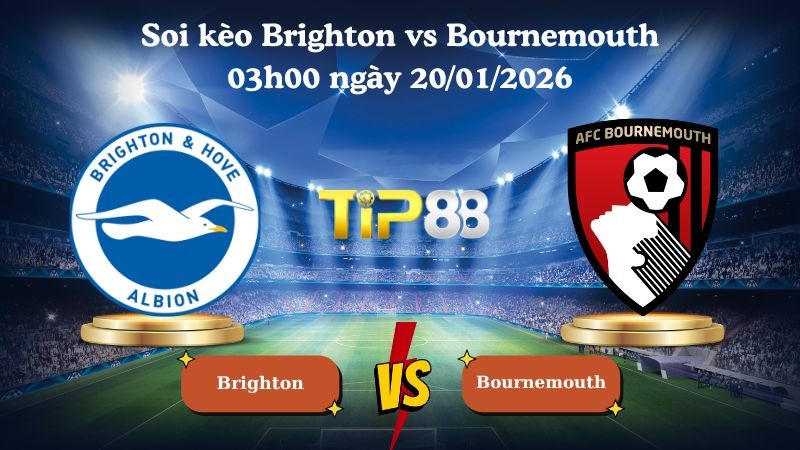 TIP88 Nhận định soi kèo Brighton vs Bournemouth 03h00 ngày 20/01/2026 - Ngoại Hạng Anh