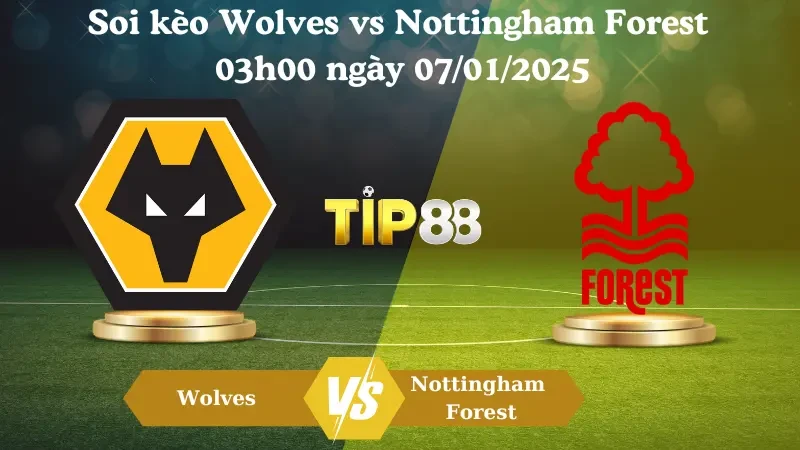 TIP88 Nhận định soi kèo Wolves vs Nottingham 3h00 ngày 07/01/2025 - Ngoại Hạng Anh