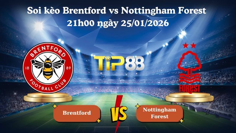 TIP88 Nhận định soi kèo Brentford vs Nottingham Forest 21h00 ngày 25/01/2026 - Ngoại Hạng Anh