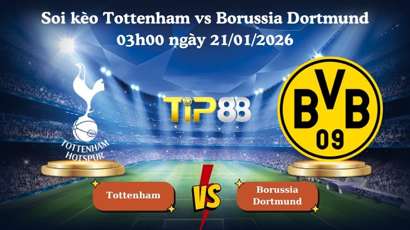 TIP88 Nhận định soi kèo Tottenham vs Borussia Dortmund 03h00 ngày 21/01/2026 - Champions League