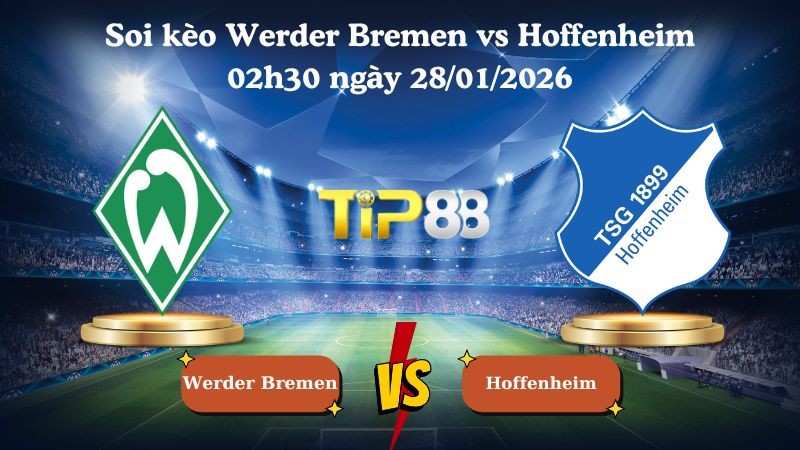 TIP88 Nhận định soi kèo Werder Bremen vs Hoffenheim 02h30 ngày 28/01/2026 - Bundesliga