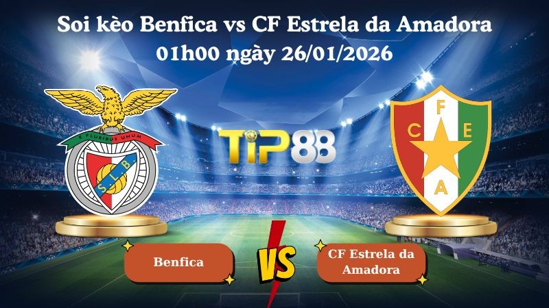TIP88 Nhận định soi kèo Benfica vs CF Estrela da Amadora 01h00 ngày 26/01/2026 - VĐQG Bồ Đào Nha