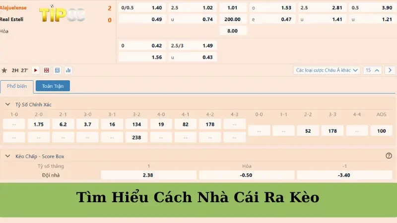TIP88 Tìm Hiểu Cách Nhà Cái Ra Kèo - Thông Tin Bet Thủ Cần Biết