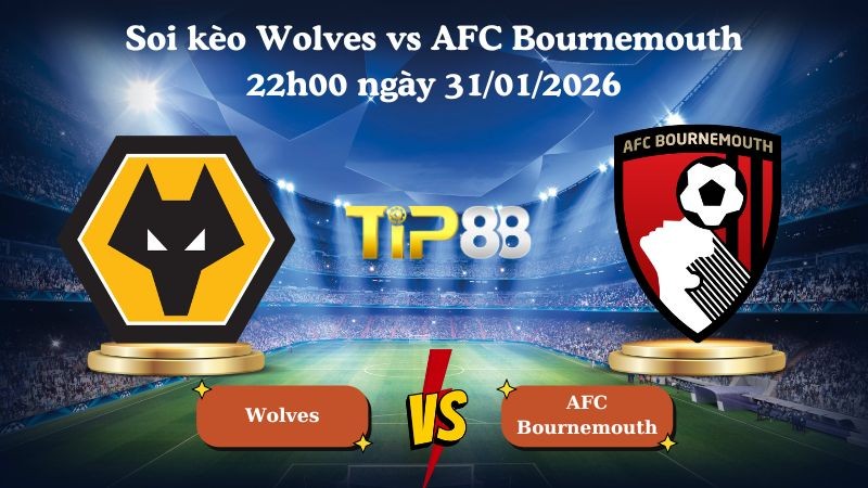 TIP88 Nhận định soi kèo Wolves vs AFC Bournemouth 22h00 ngày 31/01/2026 - Ngoại hạng Anh