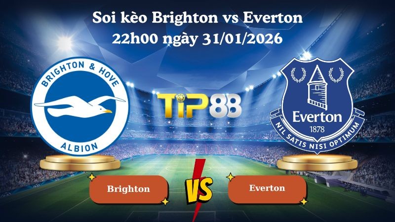 TIP88 Nhận định soi kèo Brighton vs Everton 22h00 ngày 31/01/2026 - Ngoại hạng Anh