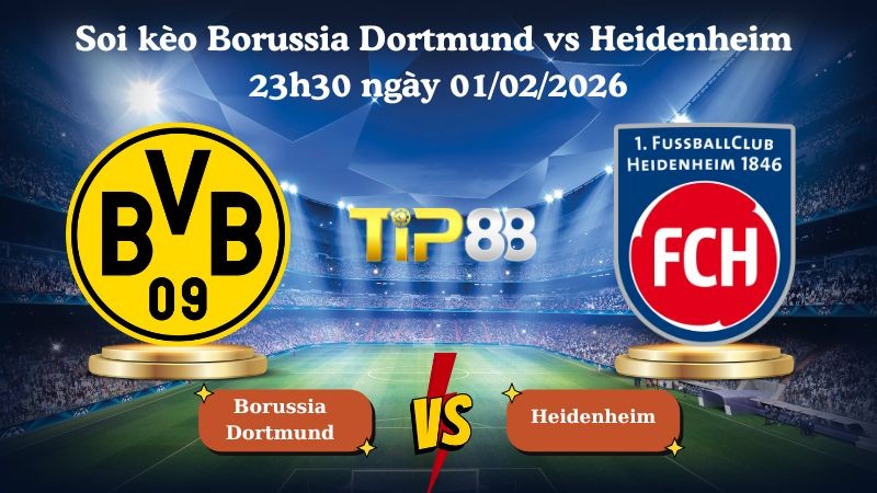 TIP88 Nhận định soi kèo Borussia Dortmund vs Heidenheim 23h30 ngày 01/02/2026 - Bundesliga