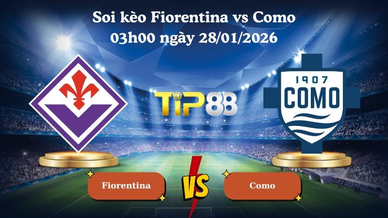 TIP88 Nhận định soi kèo Fiorentina vs Como 03h00 ngày 28/01/2026 - Coppa Italia