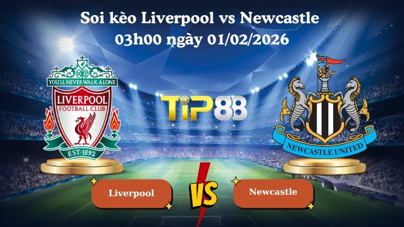 TIP88 Nhận định soi kèo Liverpool vs Newcastle 03h00 ngày 01/02/2026 - Ngoại Hạng Anh