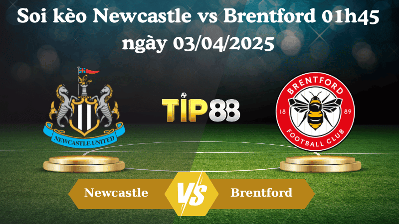TIP88 Nhận định soi kèo Newcastle vs Brentford 01h45 ngày 03/04/2025 - Ngoại hạng Anh