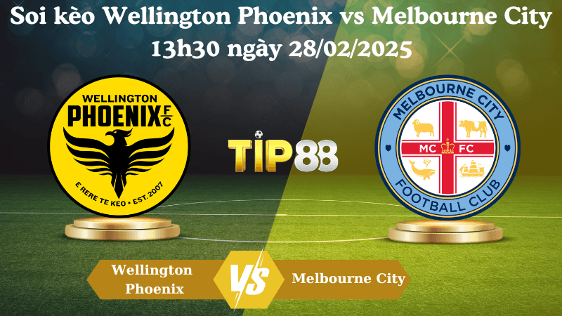 TIP88 Nhận định soi kèo Wellington Phoenix vs Melbourne City 13h30 ngày 28/02/2025 - VĐQG Úc