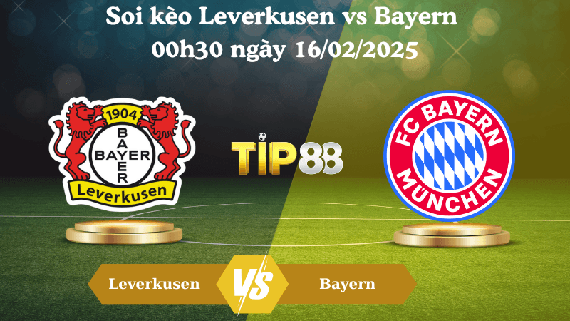 TIP88 Nhận định soi kèo Leverkusen vs Bayern 00h30 ngày 16/02/2025 - Bundesliga