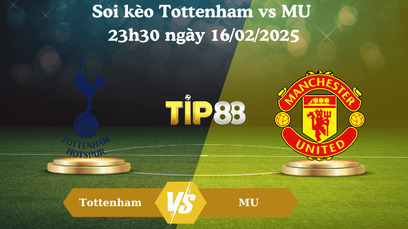 TIP88 Nhận định soi kèo Tottenham vs MU 23h30 ngày 16/02/2025 - Ngoại Hạng Anh