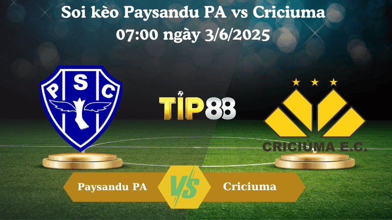 TIP88 Nhận định soi kèo Paysandu PA vs Criciuma 07:00 ngày 3/6/2025  – Giải hạng nhì quốc gia Brazil