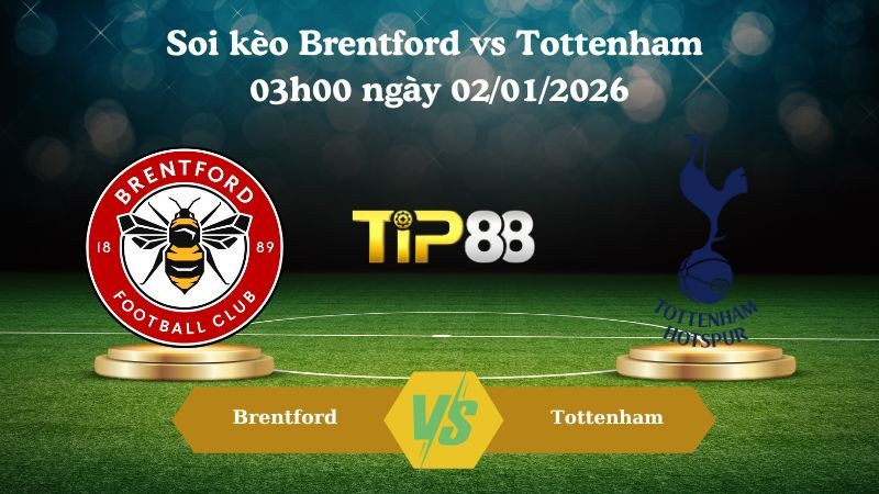 TIP88 Nhận định soi kèo Brentford vs Tottenham 03h00 ngày 02/01/2026 – Ngoại hạng Anh