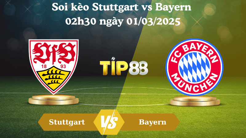 TIP88 Nhận định soi kèo Stuttgart vs Bayern 02h30 ngày 01/03/2025 - Bundesliga
