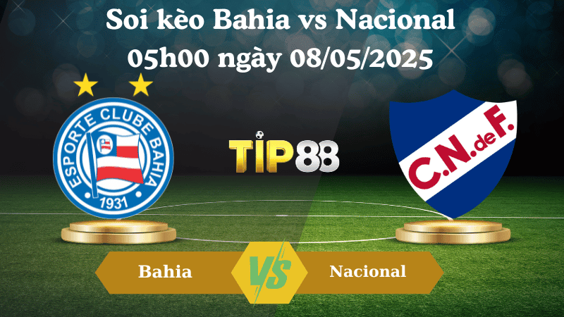 TIP88 Nhận định soi kèo Bahia vs Nacional 05h00 ngày 08/05/2025 - Copa Libertadores
