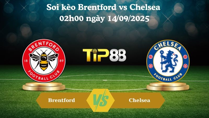TIP88 Nhận định soi kèo Brentford vs Chelsea 02h00 ngày 14/09/2025 – Ngoại hạng Anh