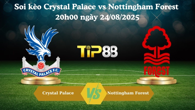 TIP88 Nhận định soi kèo Crystal Palace vs Nottingham Forest 20h00 ngày 24/08/2025 – Ngoại hạng Anh
