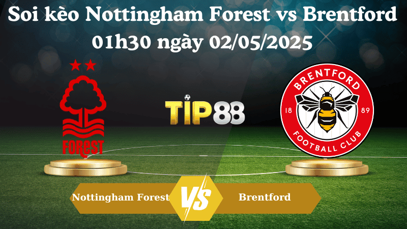 TIP88 Nhận định soi kèo Nottingham Forest vs Brentford 01h30 ngày 02/05/2025 - Ngoại hạng Anh