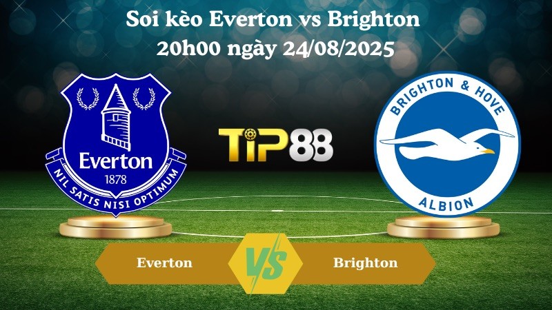TIP88 Nhận định soi kèo Everton vs Brighton 20h00 ngày 24/08/2025 – Ngoại Hạng Anh