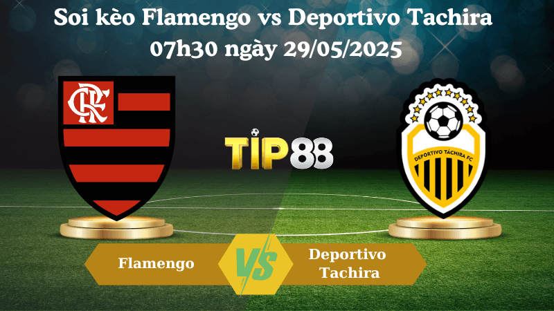TIP88 Nhận định soi kèo Flamengo vs Deportivo Tachira 07h30 ngày 29/05/2025 - Copa Libertadores