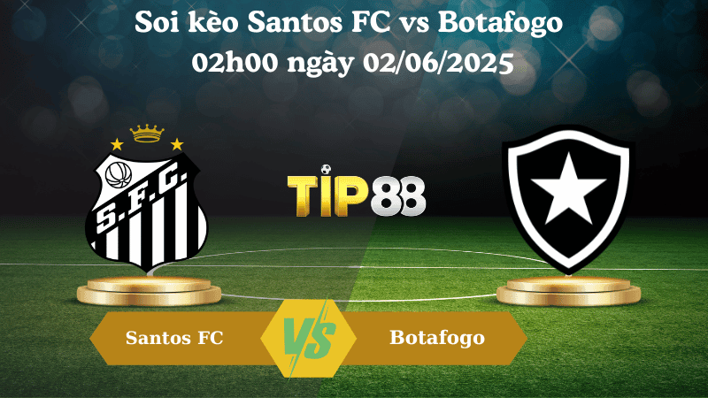 TIP88 Nhận định soi kèo Santos FC vs Botafogo 02h00 ngày 02/06/2025 – VĐQG Brazil
